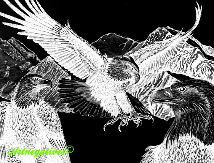 Bald Eagles Rendering of Bald Eagles